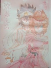 小红帽2026版本更新